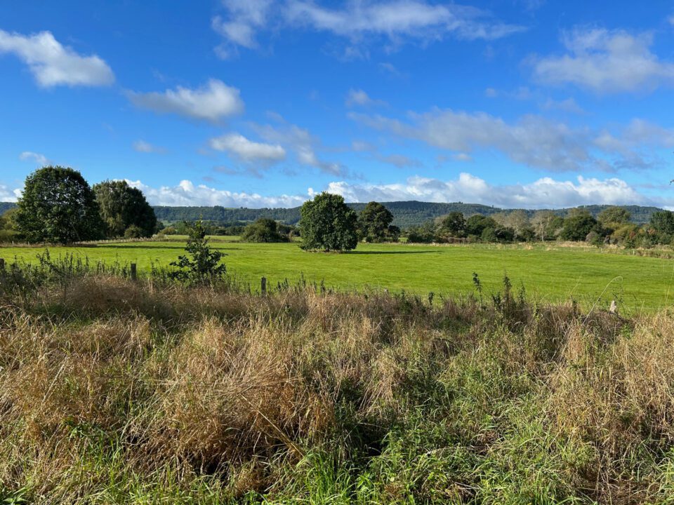 Rural holiday accommodation in Herefordshire. For walking and cycling holidays in the Wye Valley and more | Monnington House and Cottages